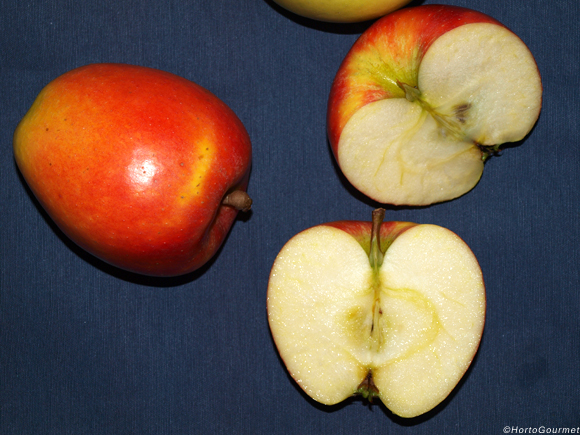 Propiedades de la manzana y sus beneficios