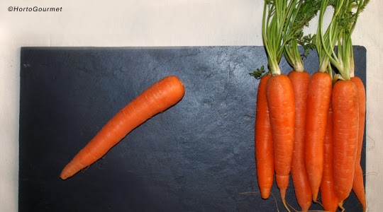 La zanahoria, el mejor antioxidante e impulsor del bronceado