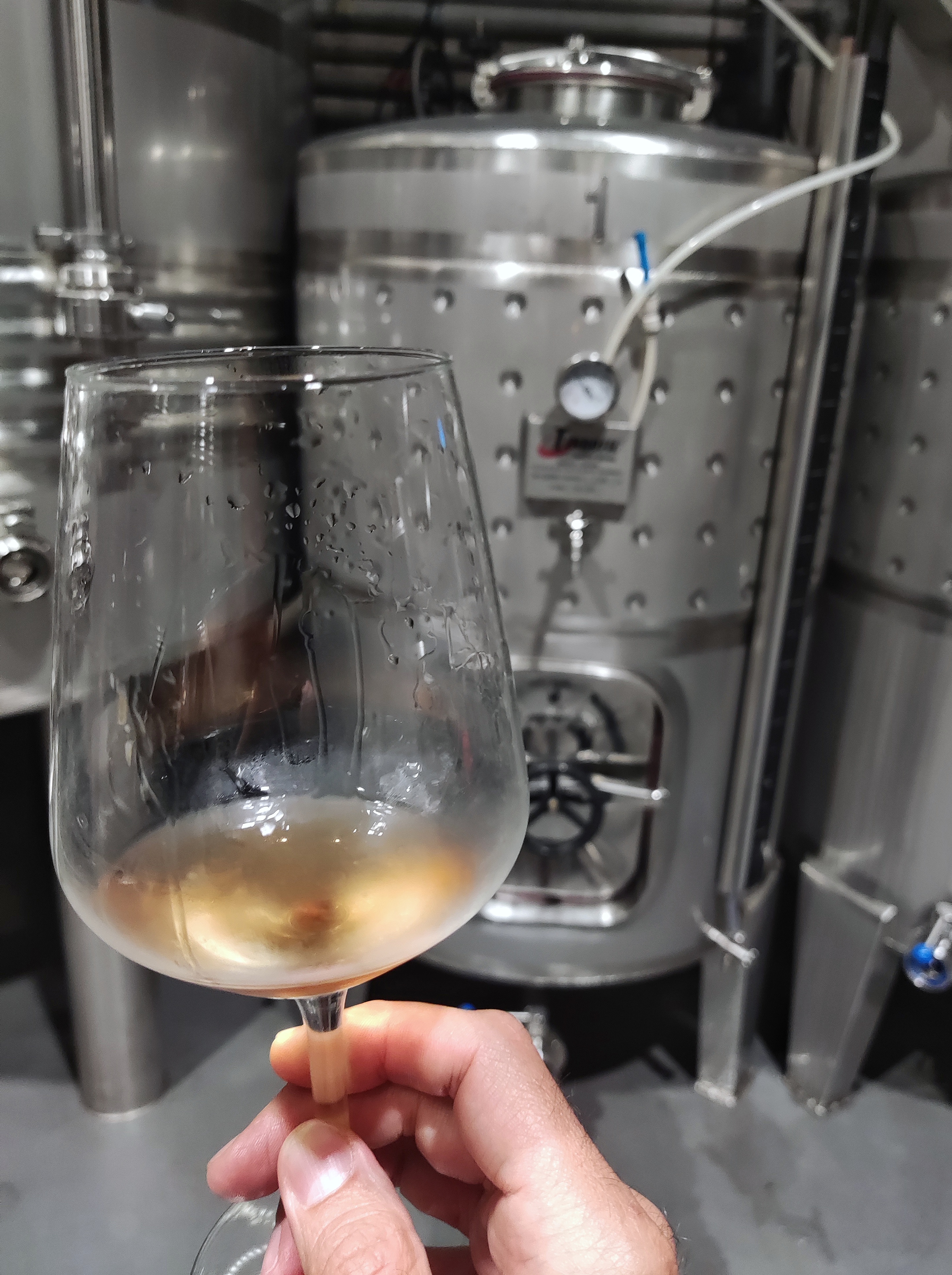 Cata de vino en Bodega