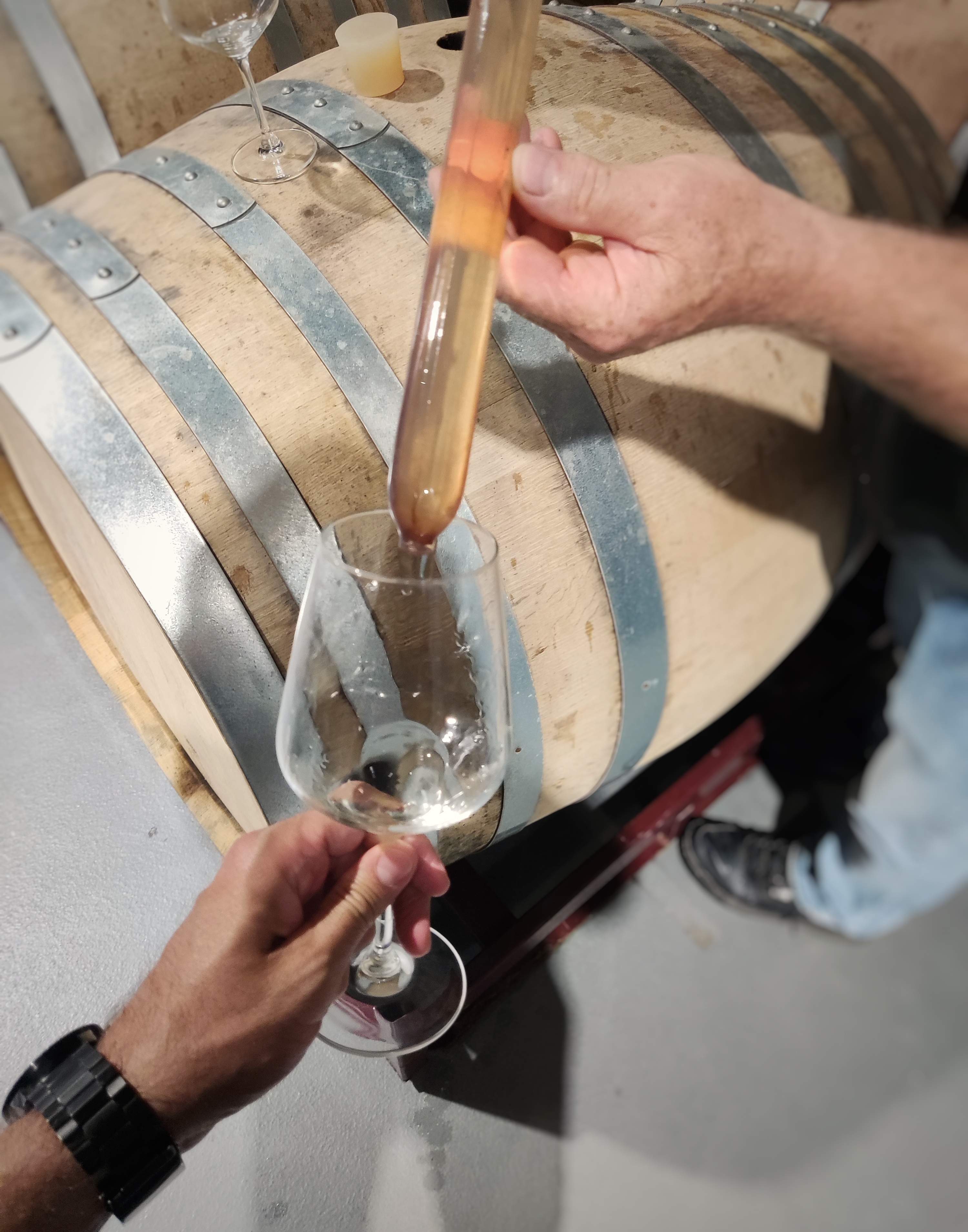 Probeta de cata de vino 